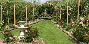 February Lawn Care Guide