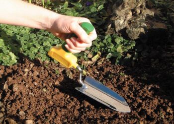 The Essential Hand Tools for Every Gardener