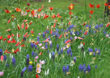 A Winter Gardening Transformation