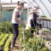 Janet Power and Jenny Watkins, watering plants and their their organic vegetables