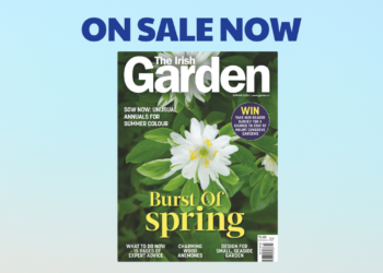 The Irish Garden Magazine