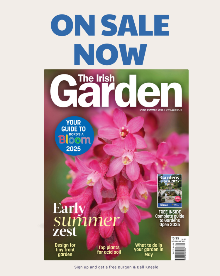 The Irish Garden