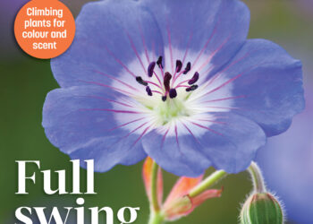 The Irish Garden Magazine Full Swing Summer Edition On Sale Now
