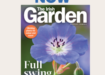 The Irish Garden Magazine Full Swing Summer Edition On Sale Now