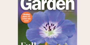 The Irish Garden Magazine Full Swing Summer Edition On Sale Now