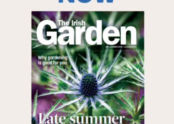 The Irish Garden Magazine Late Summer Blooms On Sale Now