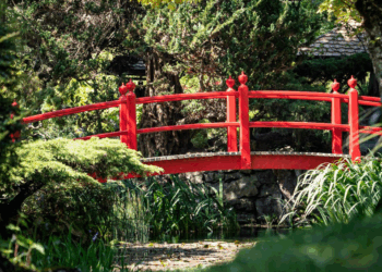 The Irish National Stud & Gardens #SP