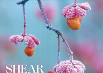 The Irish Garden Magazine Shear Magic On Sale Now