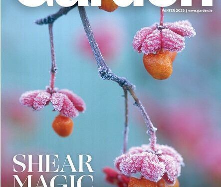 The Irish Garden Magazine Shear Magic On Sale Now