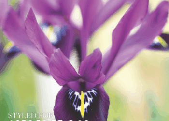 The Irish Garden Magazine Styled for Spring On Sale Now